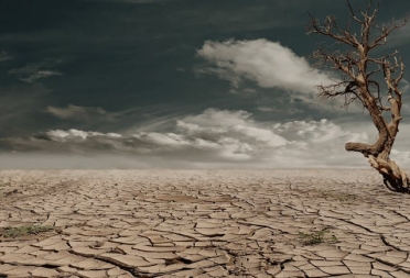  Changement climatique : 42% des Français sont confiants sur l’avenir de la planète